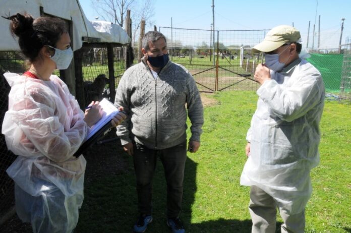 Avicultura: Nuevo convenio del INTA con el Gobierno de Entre Ríos