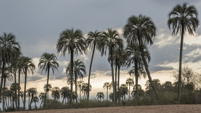 Expectativas en Entre Ríos por el alto nivel de reservas para el fin de semana largo