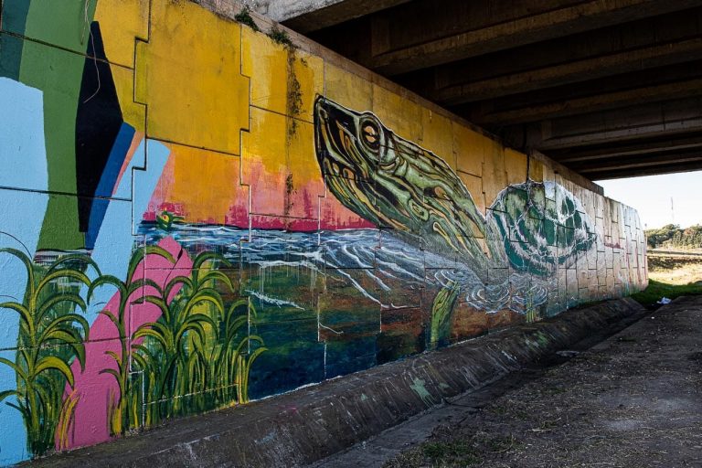 Finalizaron el nuevo mural monumental Orillas