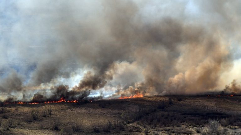 Restaurar los humedales del río Paraná tras los incendios llevará más de 300 años, según científicos