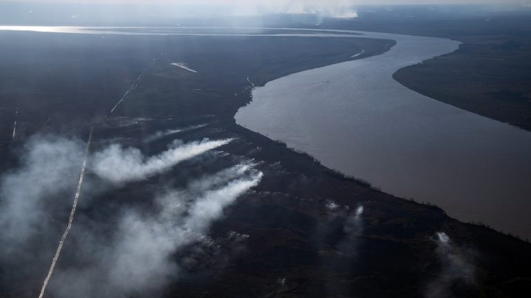 Por los incendios, las Fuerzas Armadas realizan tareas de apoyo en el Delta del Paraná