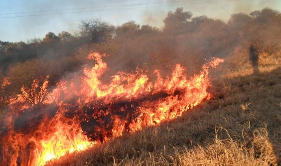 Prohíben las quemas en todo el territorio provincial