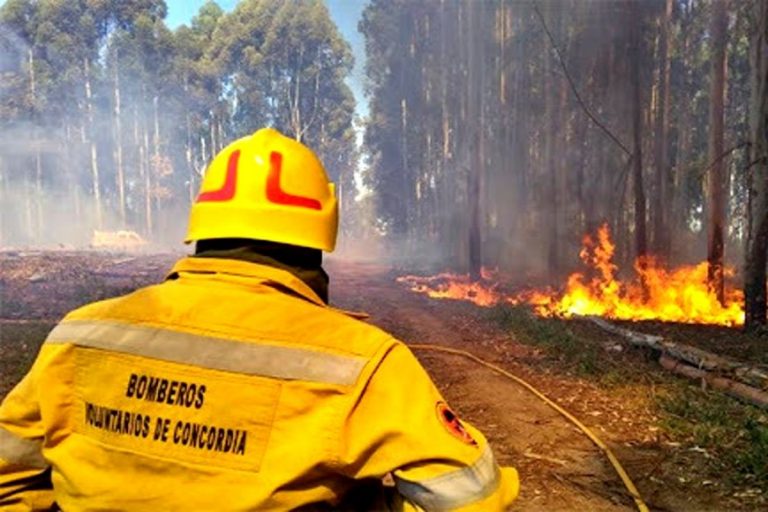 Otra vez Entre Ríos es la provincia que tiene más focos de incendios