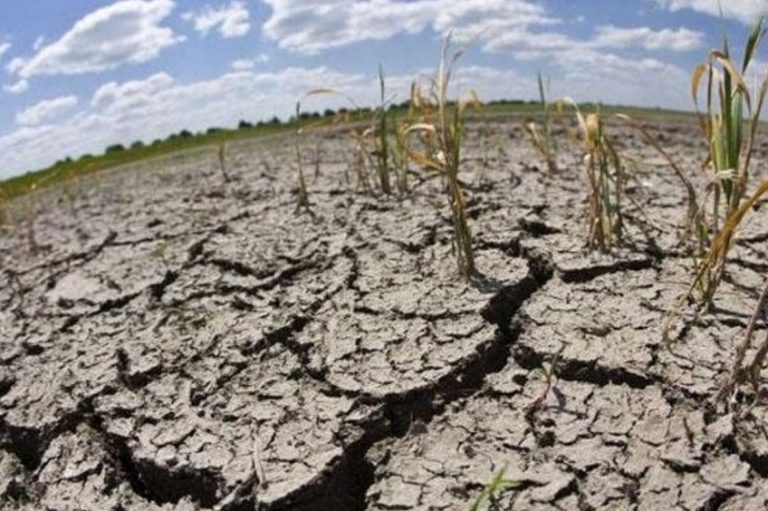 Aseguran que la sequía que atraviesa la provincia es similar a la de 2008