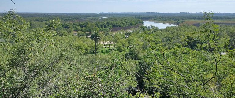 Entre Ríos prorrogó la emergencia ambiental en la provincia