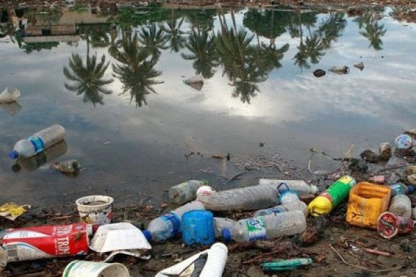 La ONU alerta también de la contaminación por los plásticos.