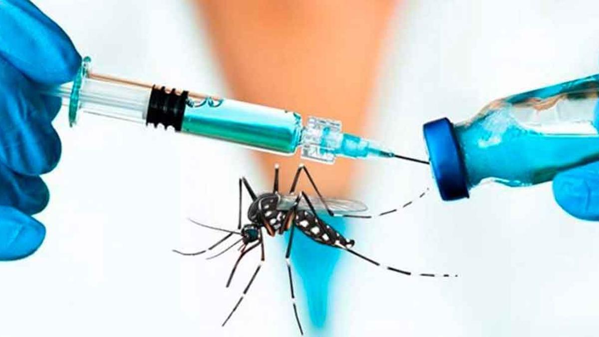 Cuándo llega la vacuna contra el dengue y cuántas dosis se aplicarán