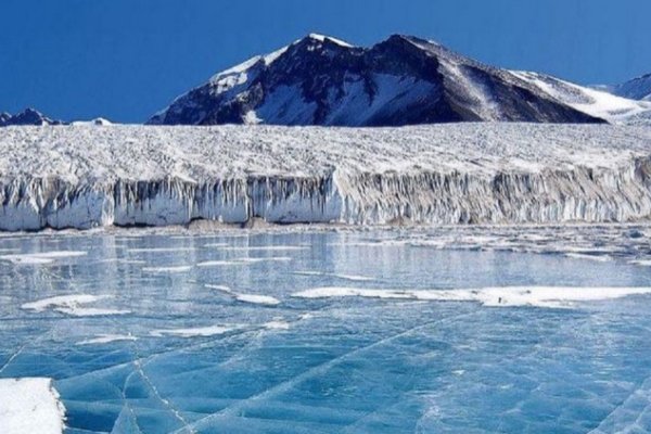 La Antártida perdió una superficie de hielo casi igual a la de la Argentina