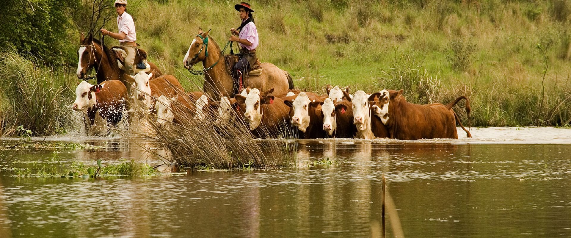 La provincia toma medidas de evacuación de la hacienda frente a la crecida del Río Paraná