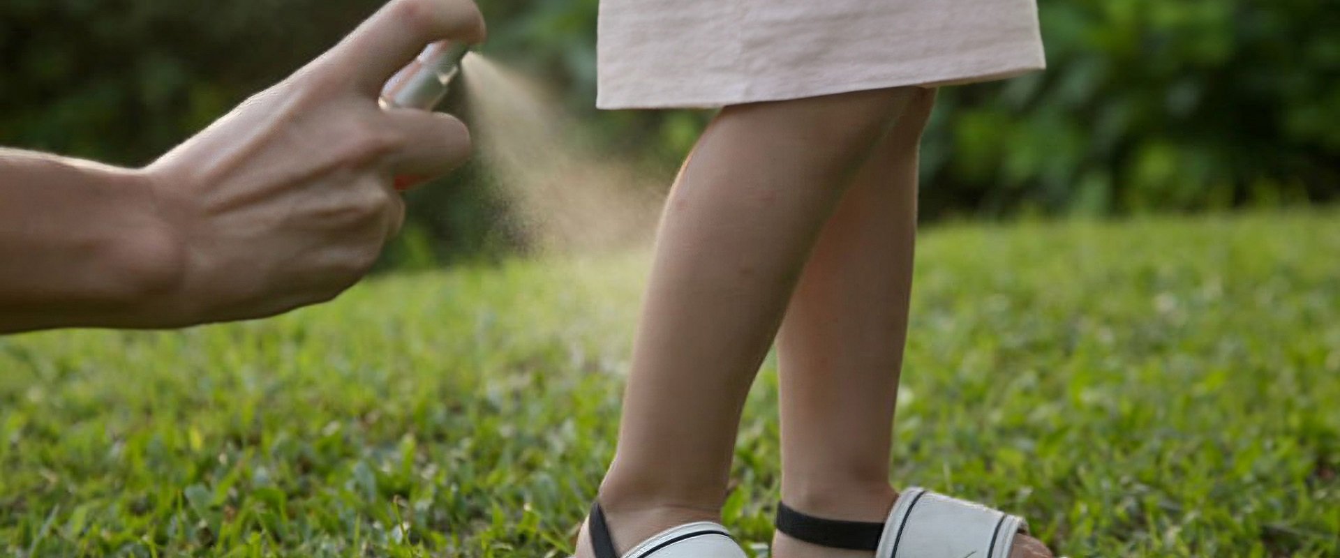 Situación epidemiológica en relación a dengue y Covid-19: