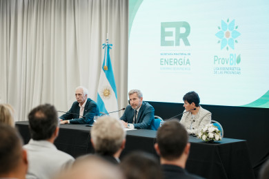 Frigerio participó en la Primera Jornada de las Provincias Bionergéticas
